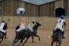 Oxford Polo 2022_12_11 0105